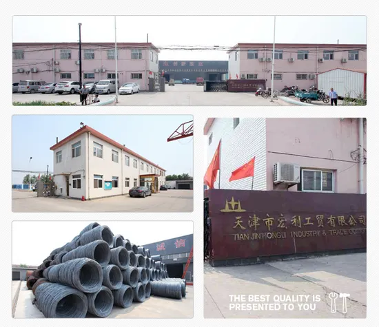 Clout Roofing Nails/Roofing Nails /Felt Nails /Large-Head Roofing Nails/ Roofing Linoleum Nails/ Have a Large Flat Head