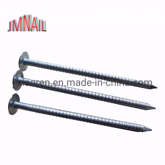 Chiodi elettrici zincati da 1"Xbwg11 con gambo ad anello